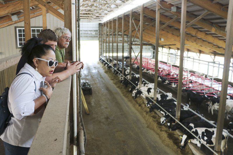 County leaders watch automation in action during dairy tour